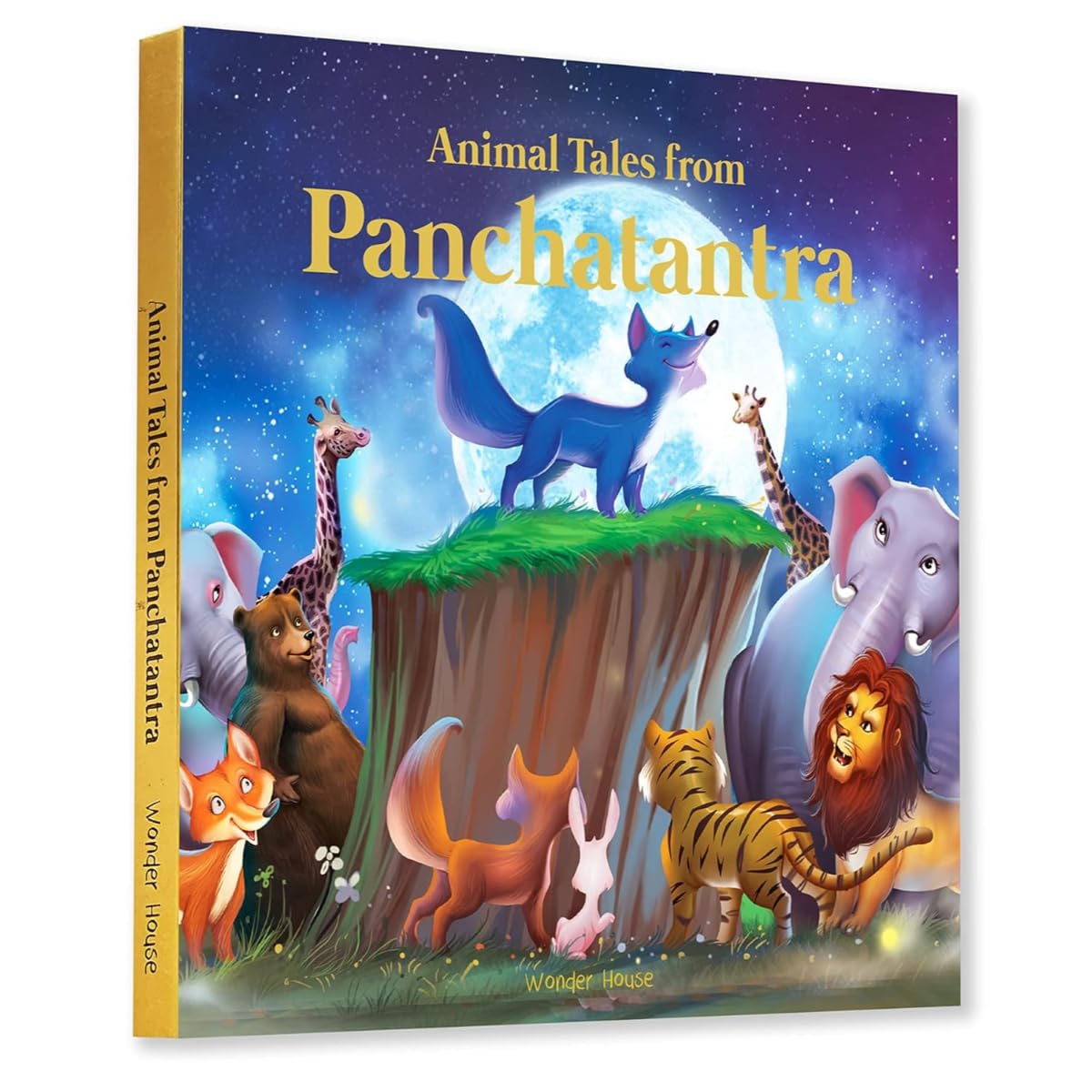 by               
		   Wonder House Books     
       			(Author) 
       	             Format: Hardcover