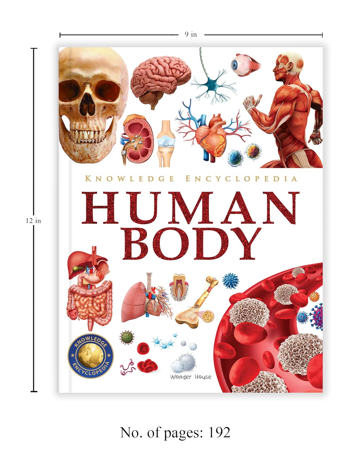 Knowledge Encyclopedia - Human Body – view 3