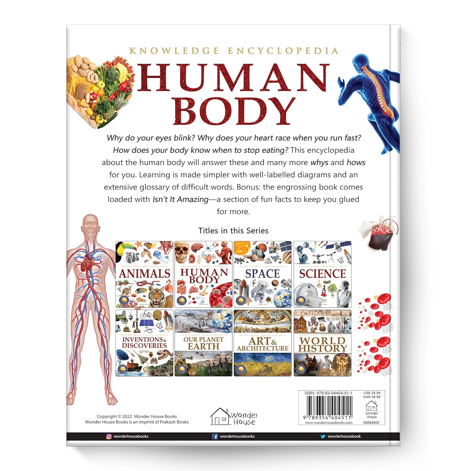 Knowledge Encyclopedia - Human Body – view 2