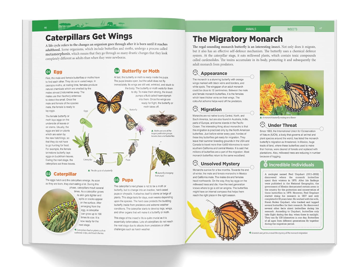 Knowledge Encyclopedia - Animals – view 5