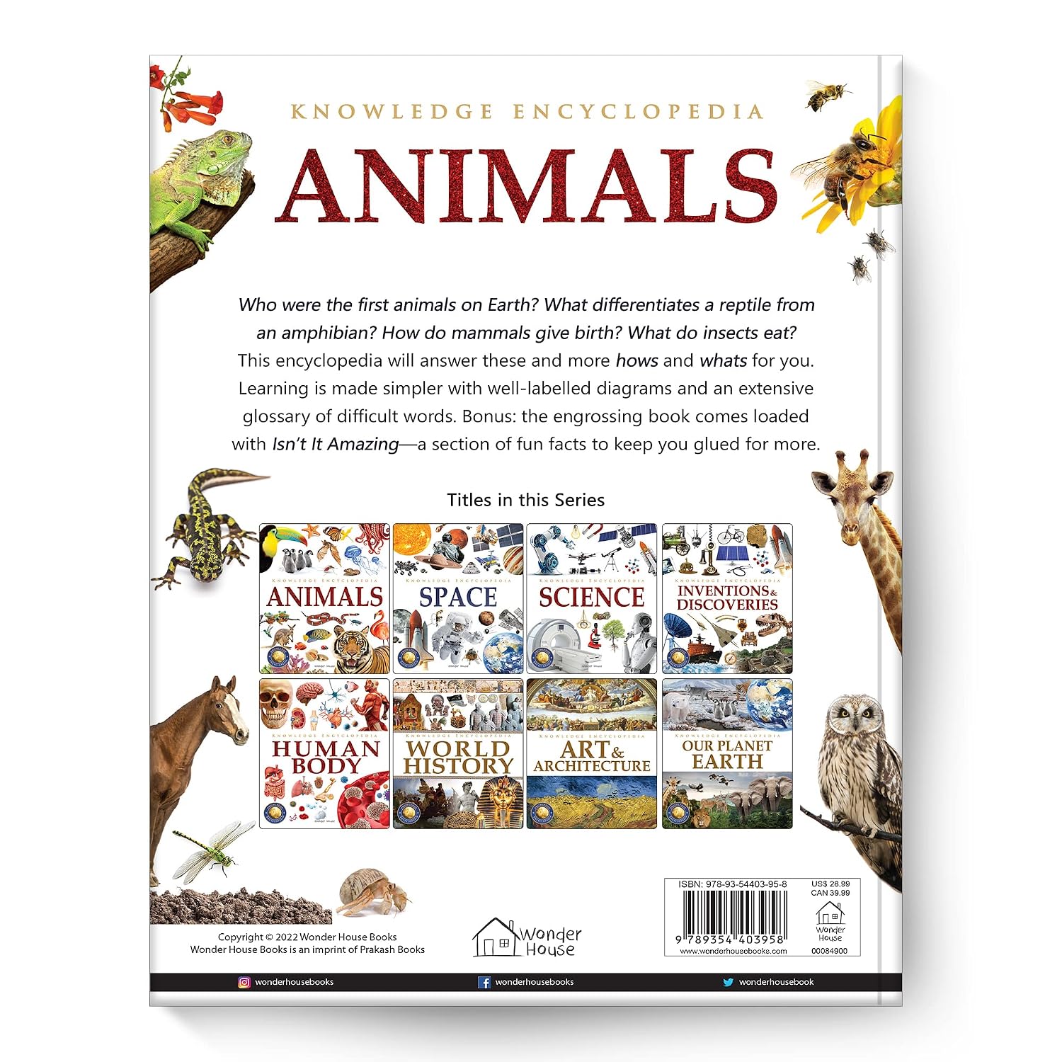 Knowledge Encyclopedia - Animals – view 2