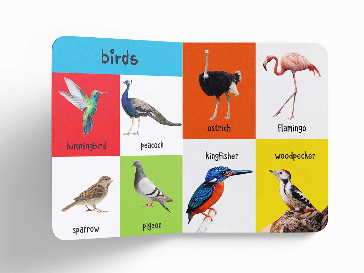 My First 4 In 1 - Wild Animals – view 4