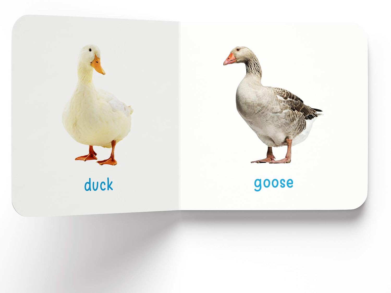 My First Book Of Farm Animals & Pets For Kids – view 6