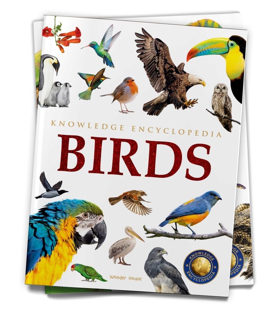 Animals - Birds – view 3