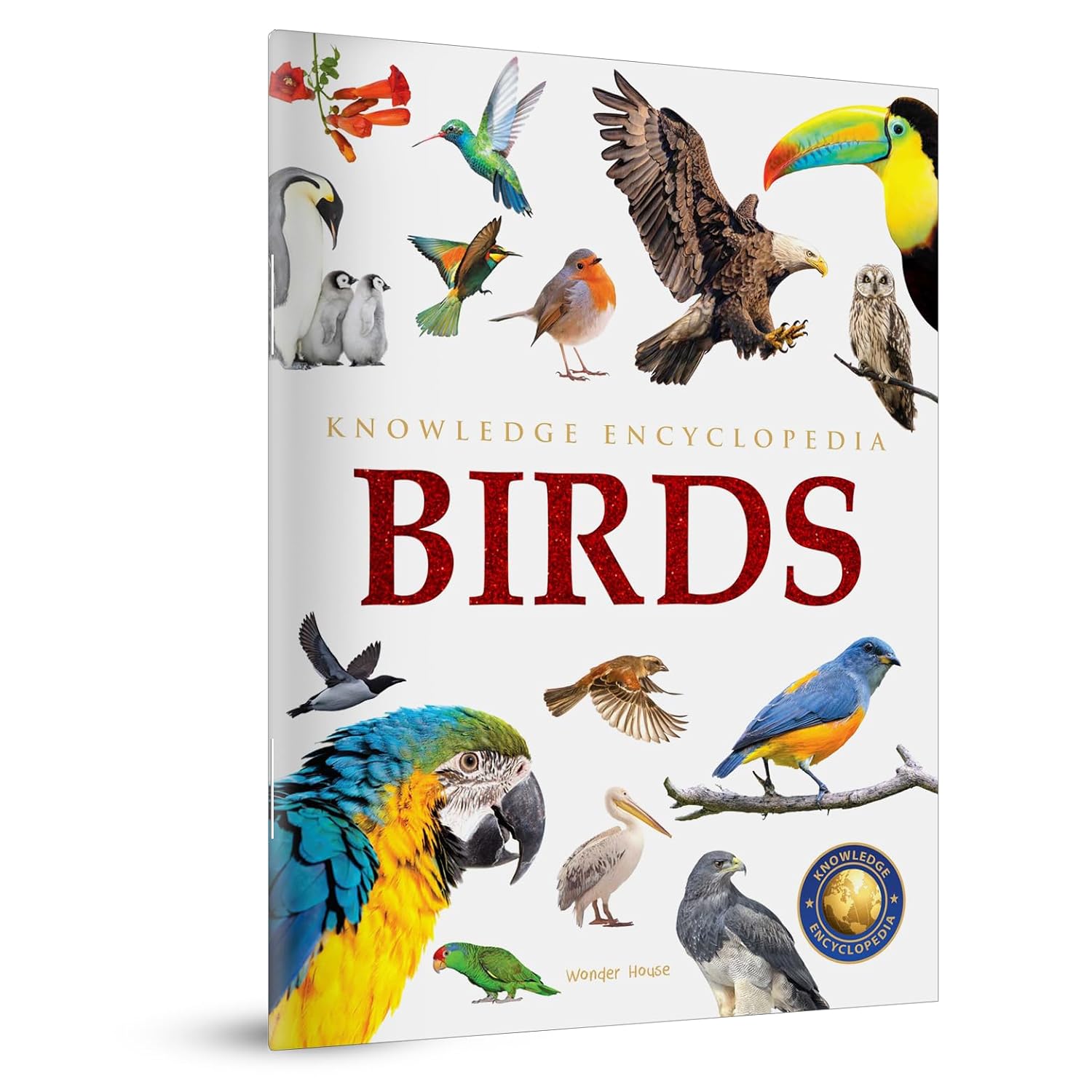 Animals - Birds | Knowledge Encyclopedia For Children