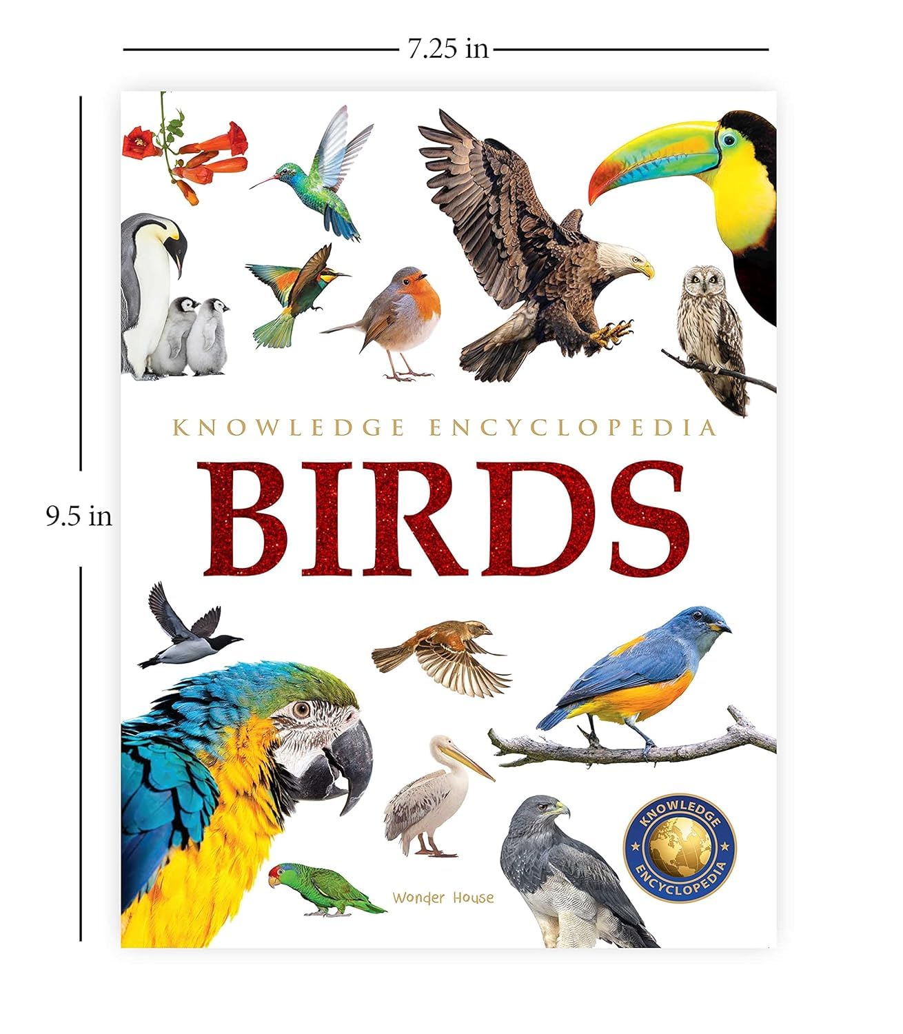 Animals - Birds – view 2