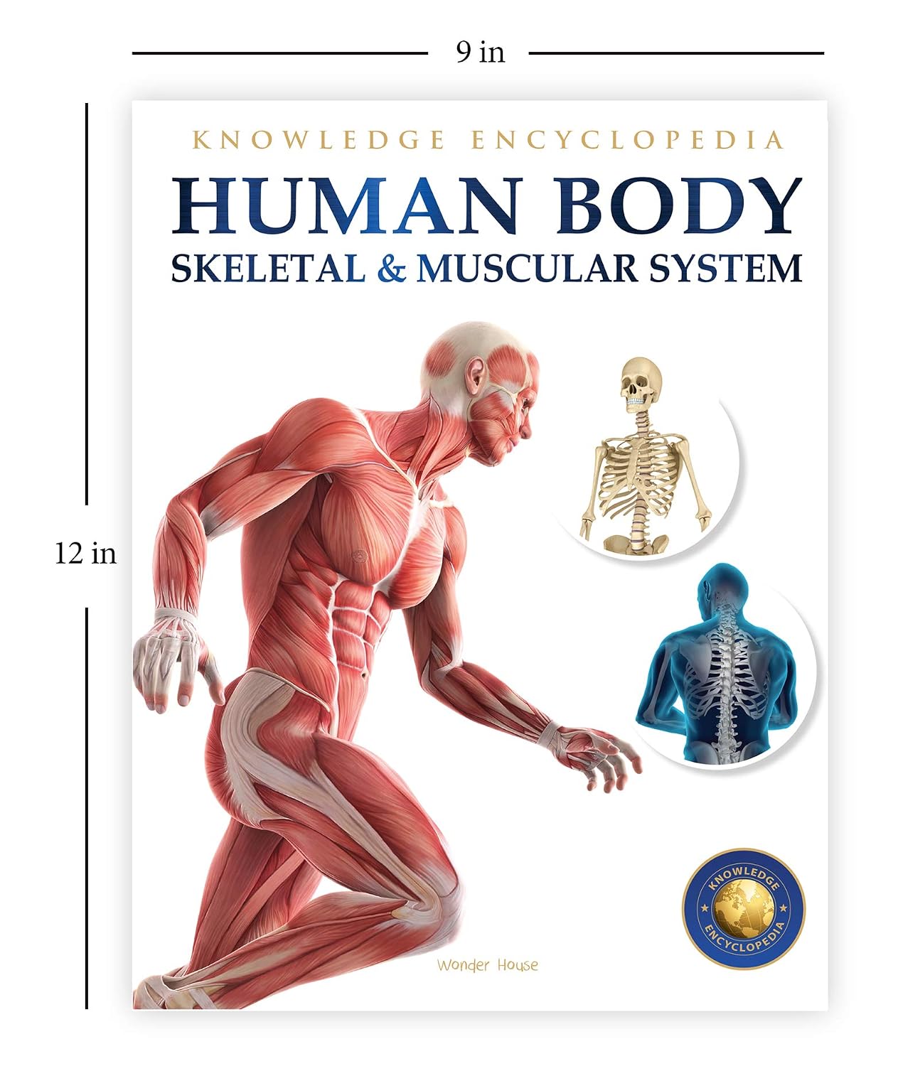 Human Body - Skeletal And Muscular System: Knowledge Encyclopedia For Children – view 3