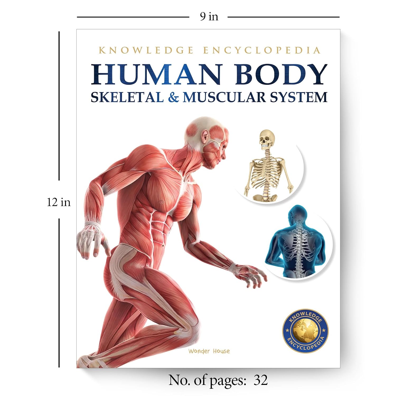 Human Body - Skeletal And Muscular System: Knowledge Encyclopedia For Children – view 11