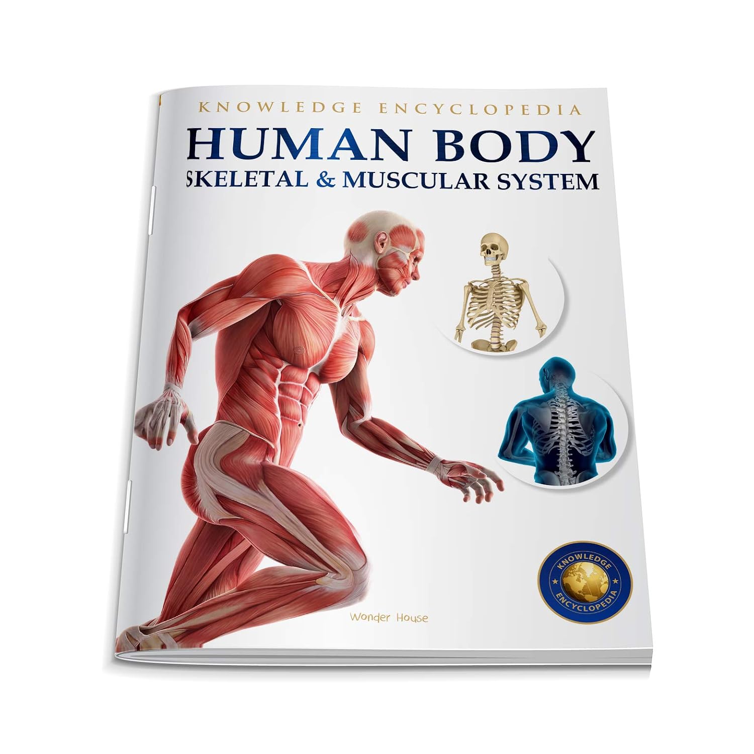Human Body - Skeletal And Muscular System: Knowledge Encyclopedia For Children – view 2