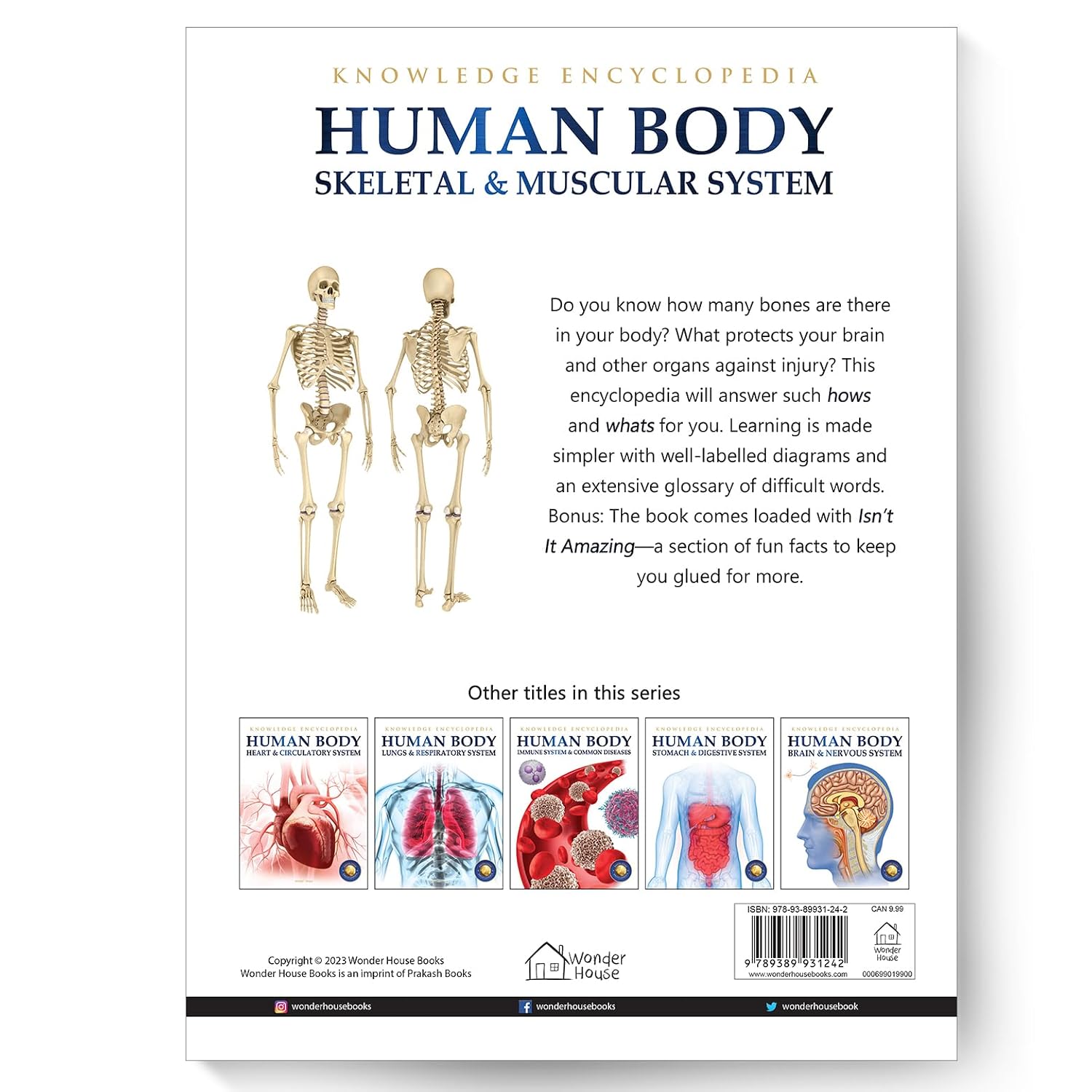 Human Body - Skeletal And Muscular System: Knowledge Encyclopedia For Children – view 10