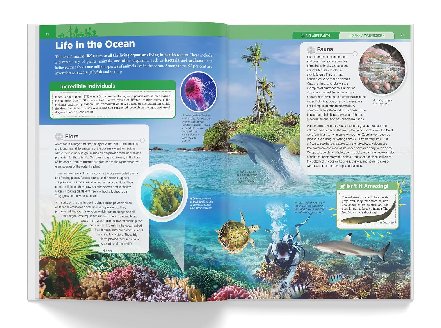 Knowledge Encyclopedia - Our Planet Earth - Hardcover – view 5