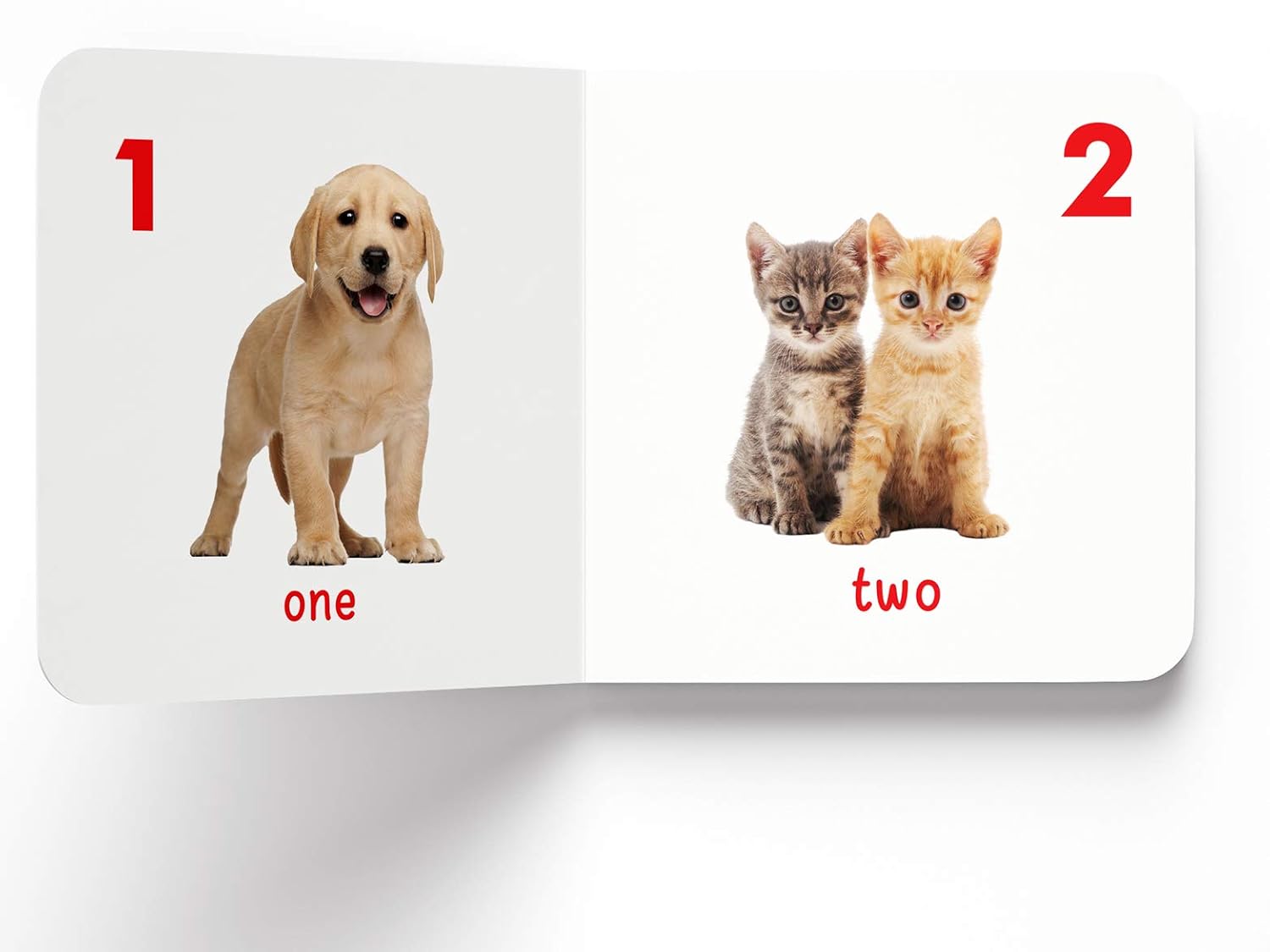 My First Book Of Numbers – view 5