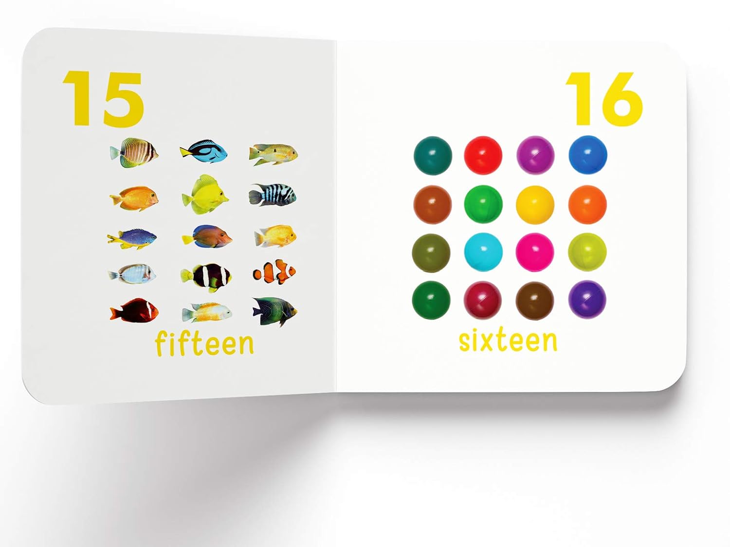 My First Book Of Numbers – view 6