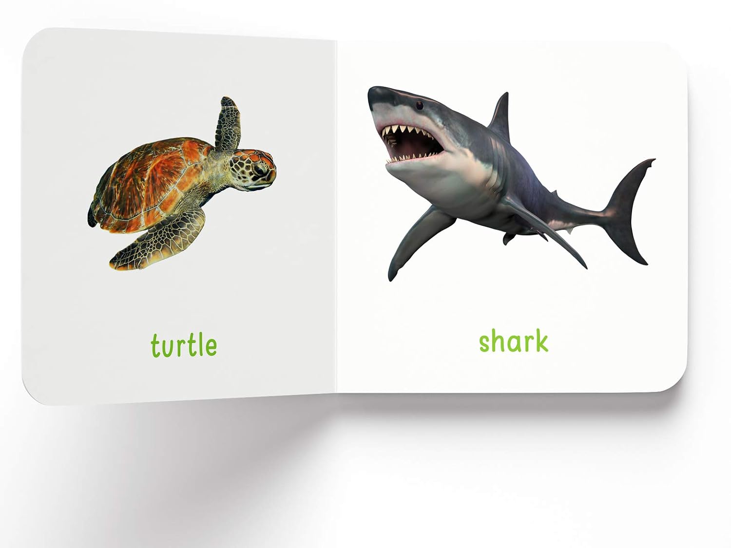 My First Book Of Sea Animals – view 6