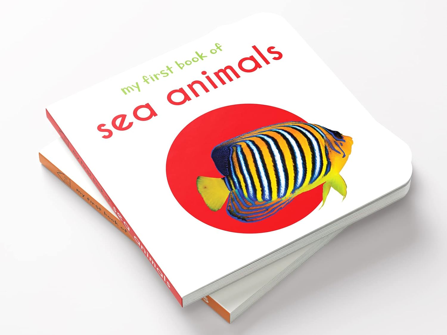 My First Book Of Sea Animals – view 4