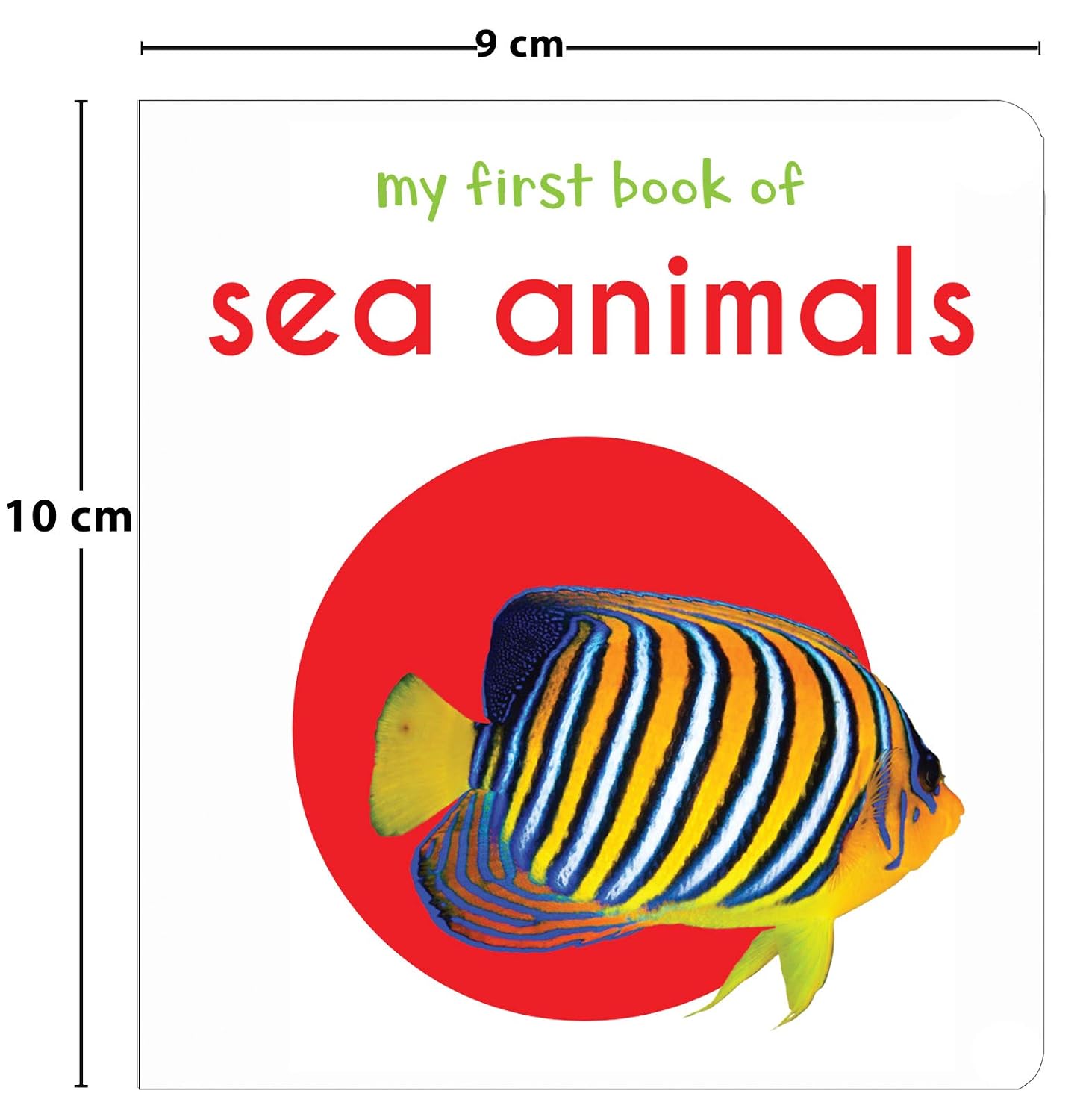 My First Book Of Sea Animals – view 3