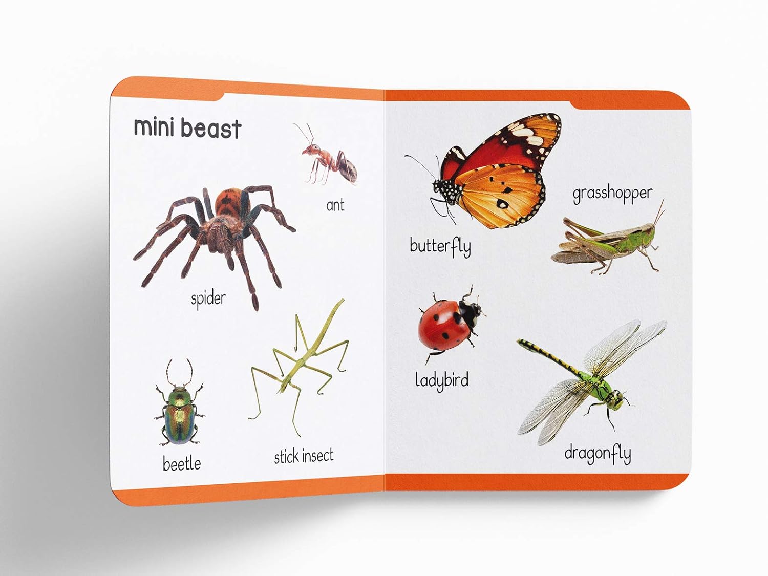 My First Padded Book Of Animals For Kids – view 5