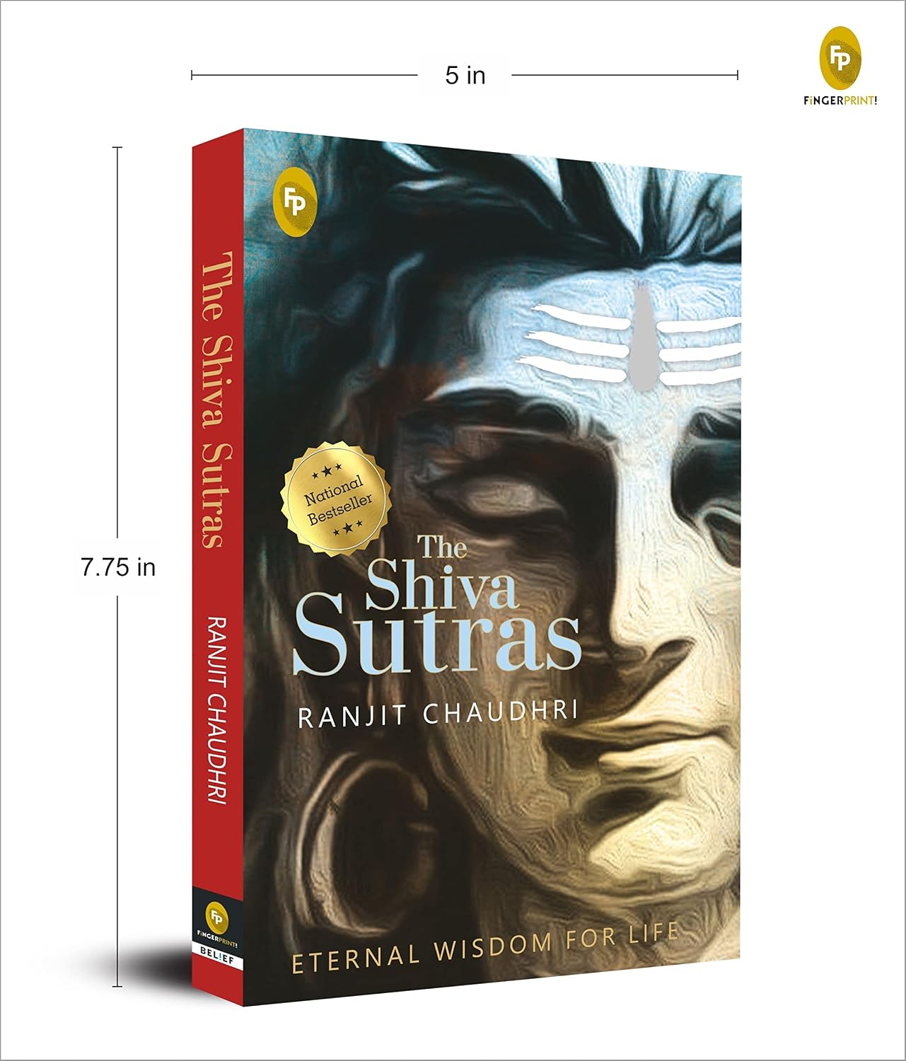 The Shiva Sutras by Ranjit Chaudhri (Paperback) – view 3