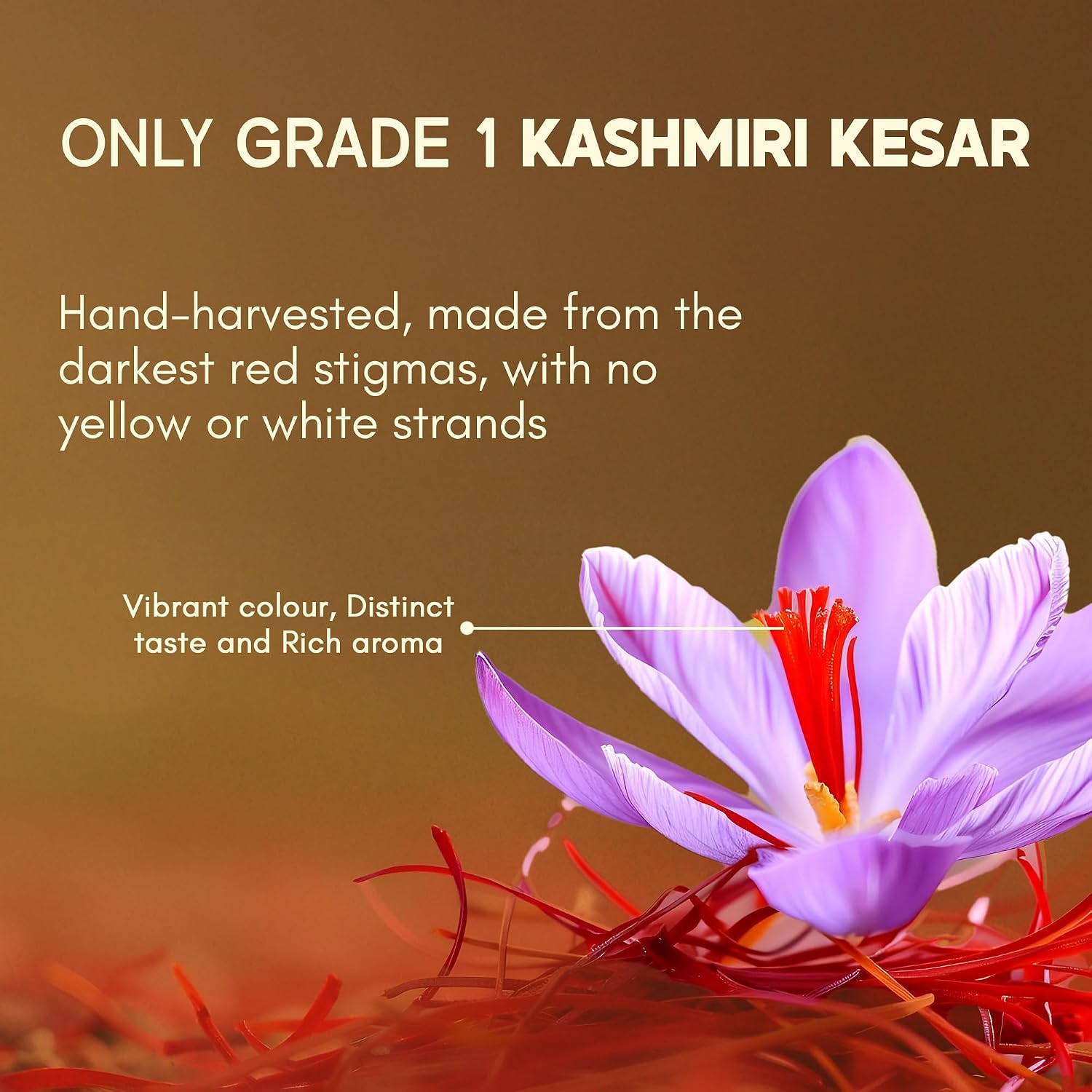 Rasayanam Pure Kashmiri Saffron/Kesar (1 g) - Grade 1 Mongra – view 4