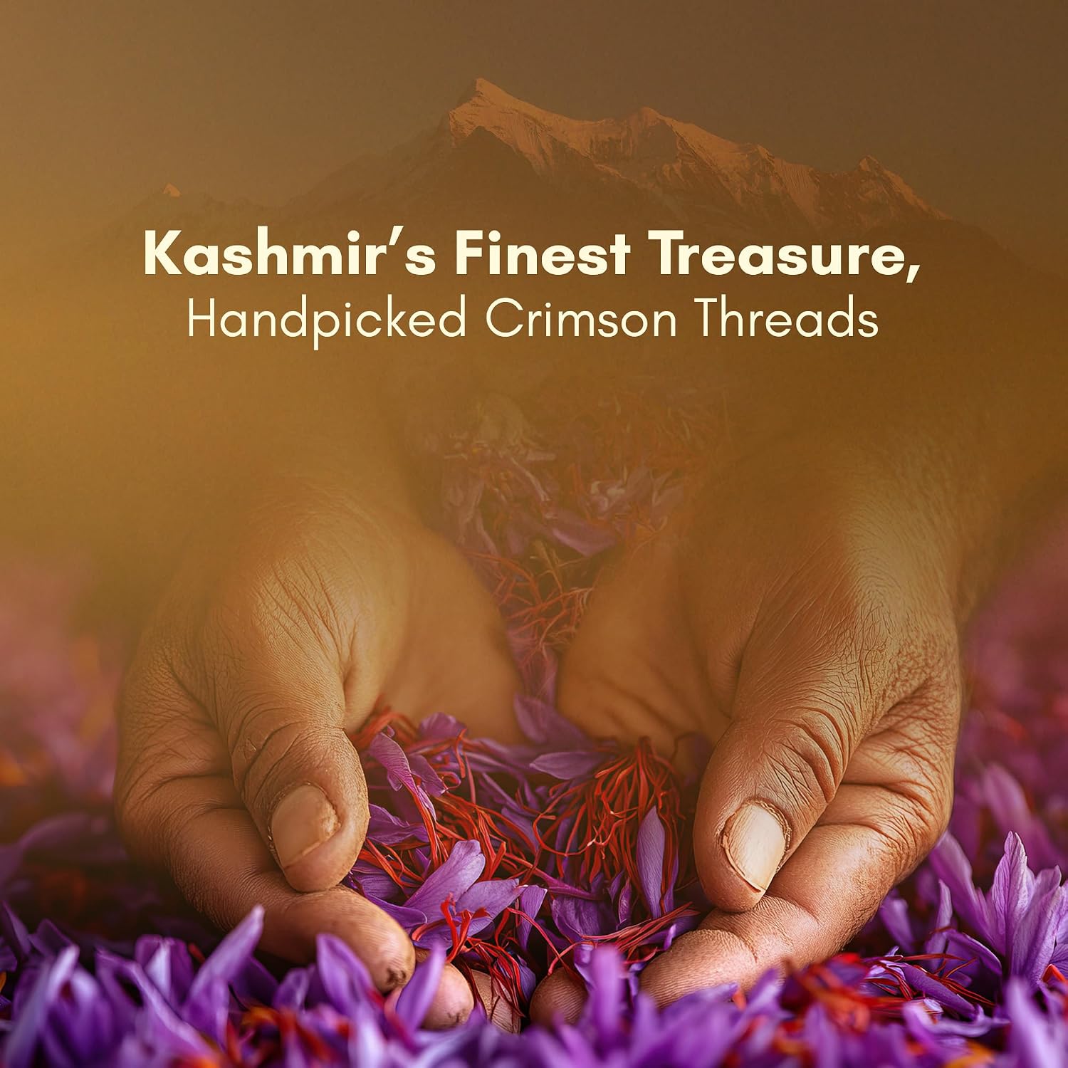 Rasayanam Pure Kashmiri Saffron/Kesar (1 g) - Grade 1 Mongra – view 3