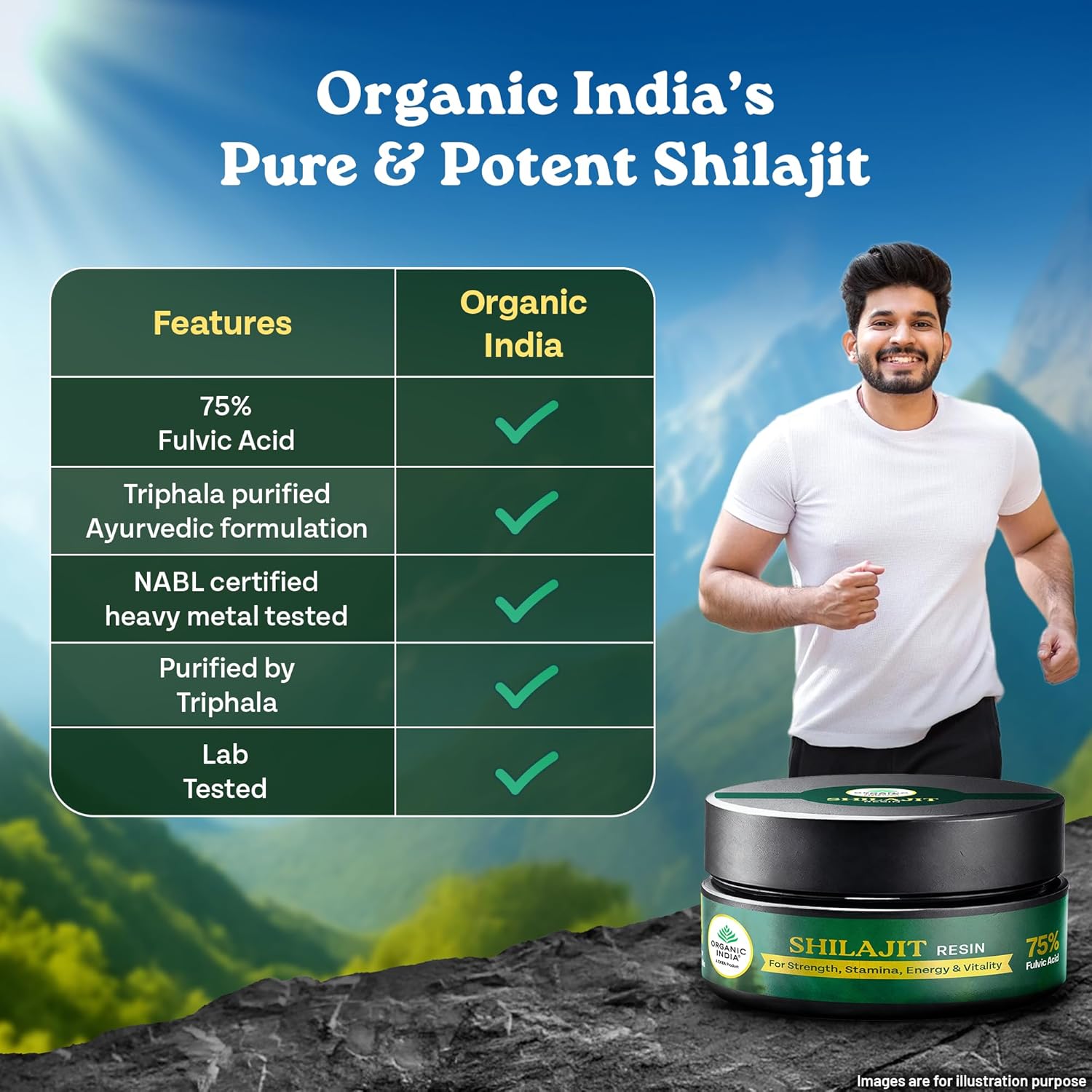 Organic India Shilajit Resin 20g – view 4
