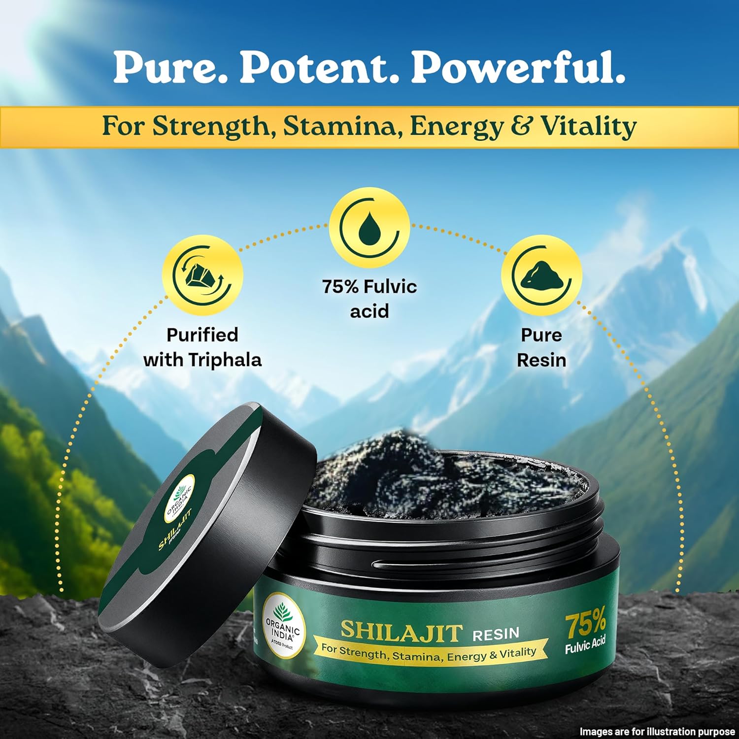 Organic India Shilajit Resin 20g – view 2