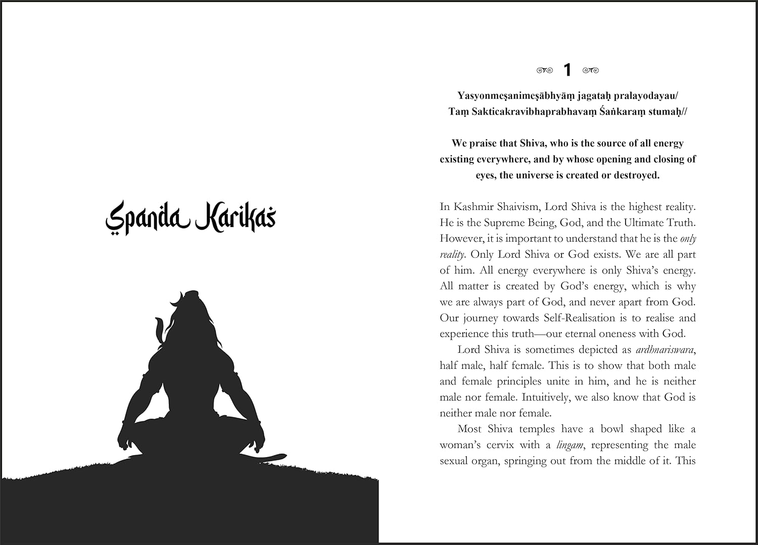 Sounds of Liberation: The Spanda Karikas by Ranjit Chaudhri – view 7