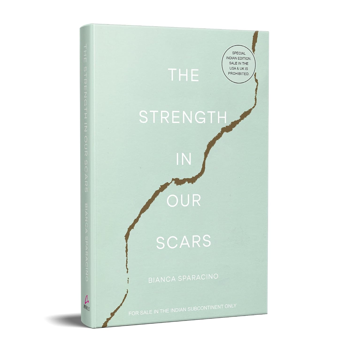 The Strength in Our Scars by Bianca Sparacino – view 3