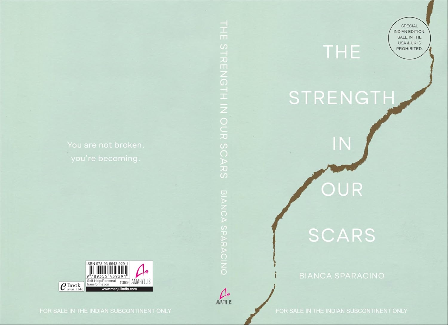 The Strength in Our Scars by Bianca Sparacino – view 7