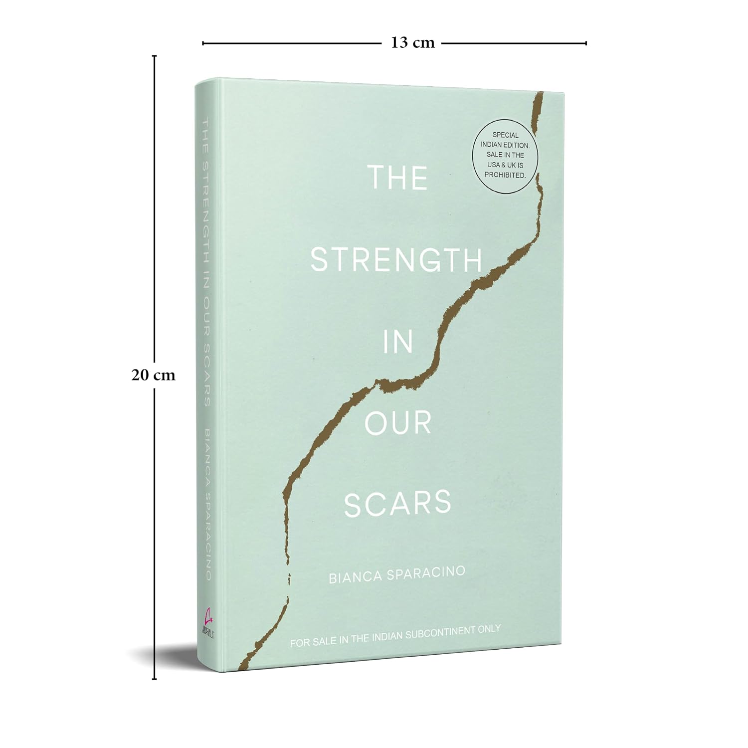 The Strength in Our Scars by Bianca Sparacino – view 5