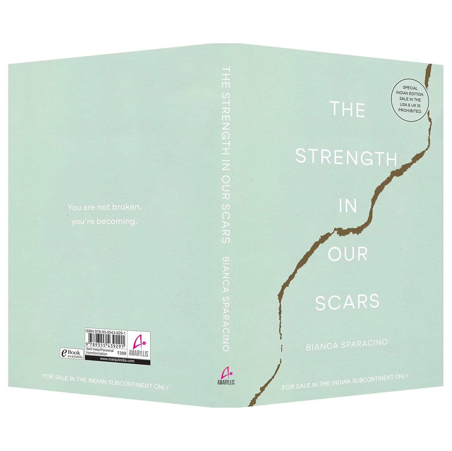 The Strength in Our Scars by Bianca Sparacino – view 4