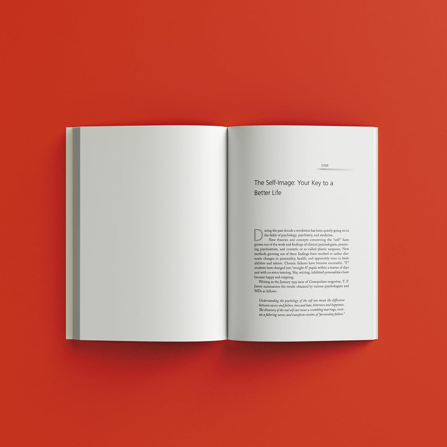 Psycho-Cybernetics (Updated and Expanded) by Maxwell Maltz – view 7